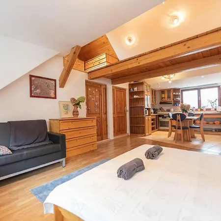 Romanticke V Podkrovi Idealne Pre Pary Alebo Rodinku-self Check * ブラチスラヴァ