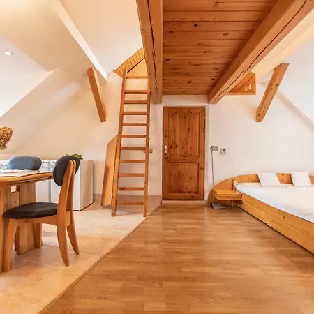 Appartement Romanticke V Podkrovi Idealne Pre Pary Alebo Rodinku-self Check Bratislava
